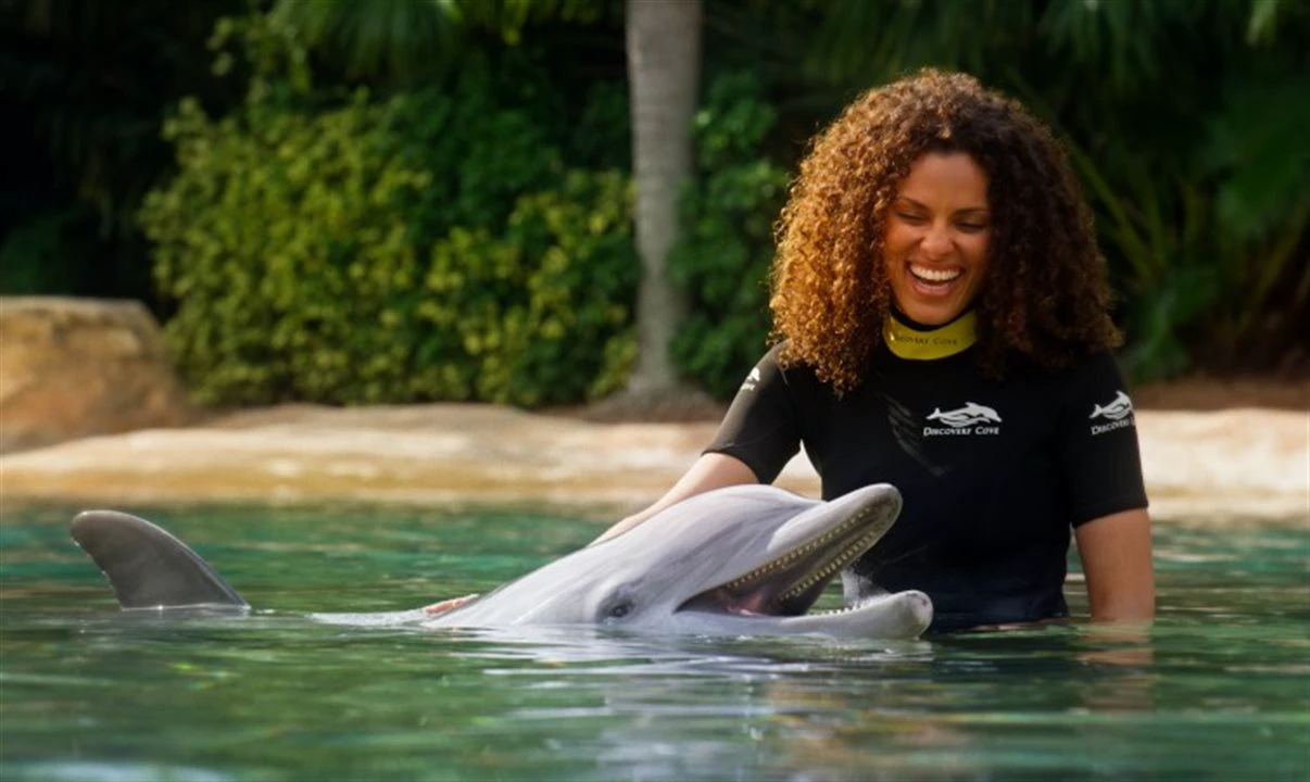 Discovery Cove