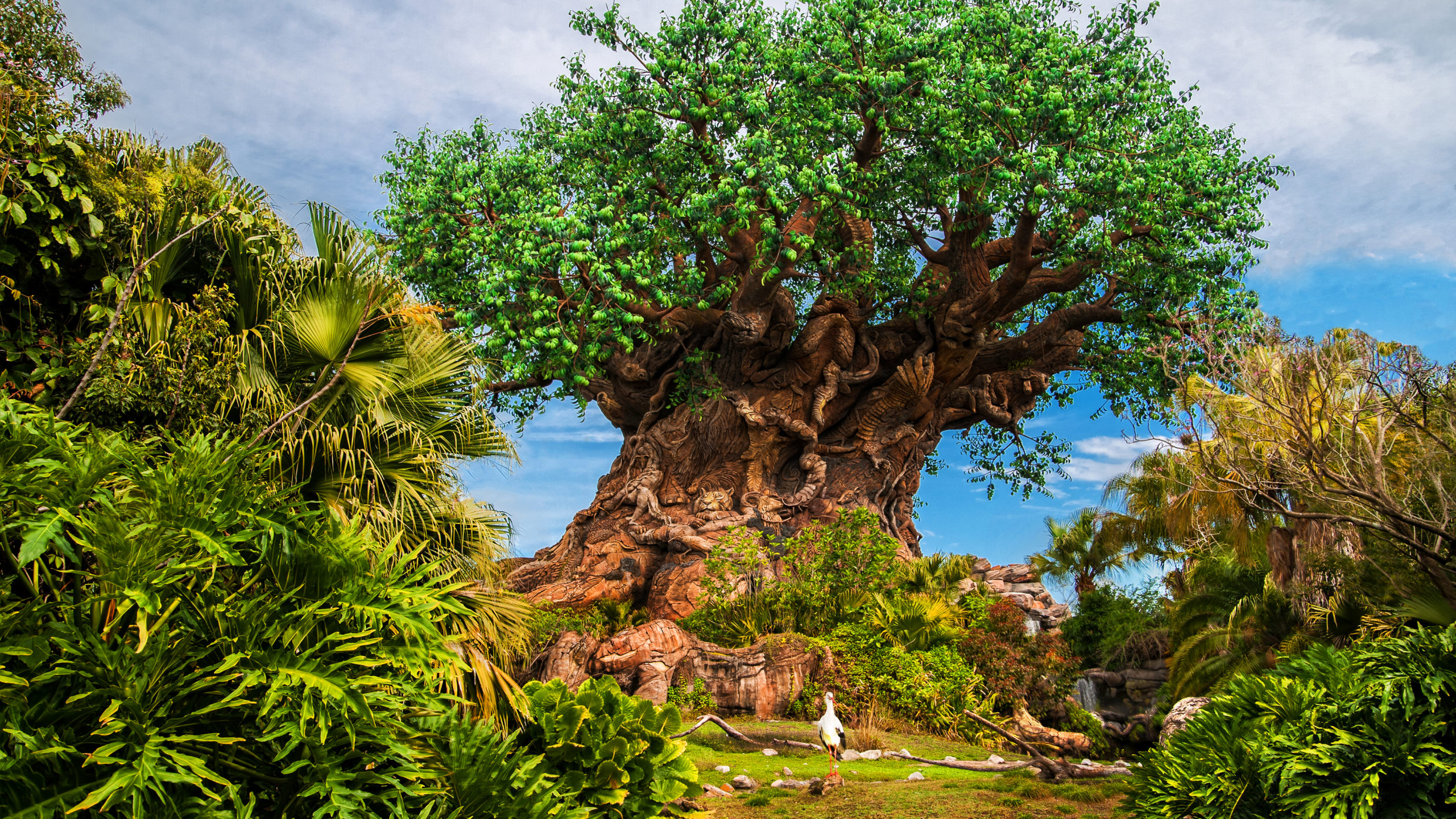 Tree of Life